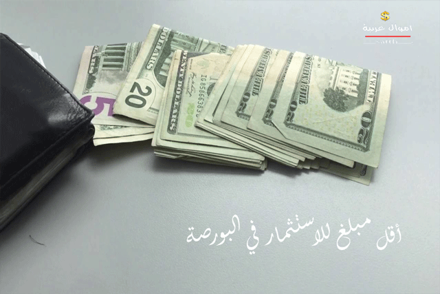 أقل مبلغ للاستثمار في البورصة المصرية  1